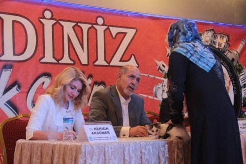 En Güzel Kediler Yarıştı