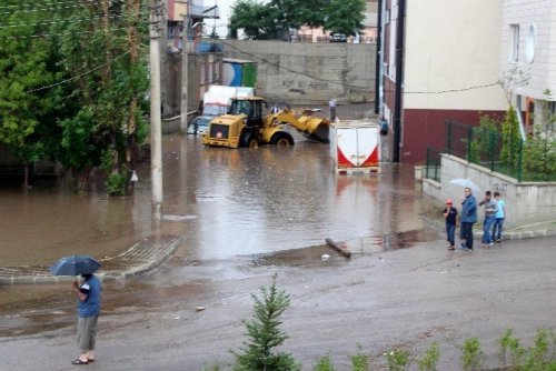 Erzurum Sele Teslim