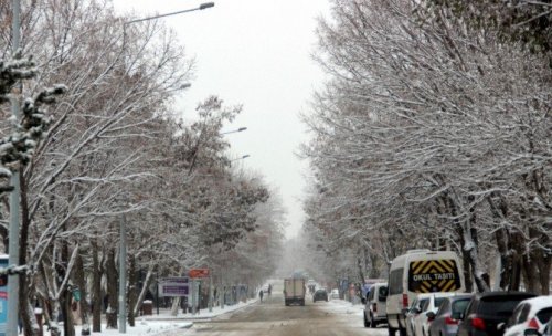 Erzurum’da Karla Mücadele Başladı