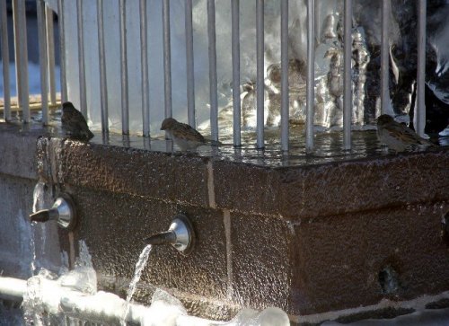 Erzurum’da Şadırvanlar Buz Tuttu