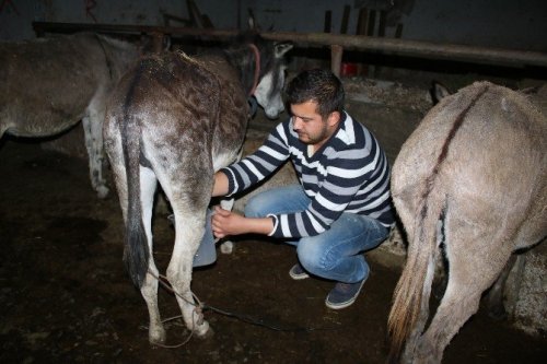 Eşek Sütü Anne Sütüne Rakip