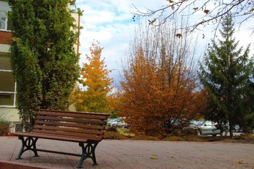 Eskişehir’de Sonbaharın Renkleri Büyüledi