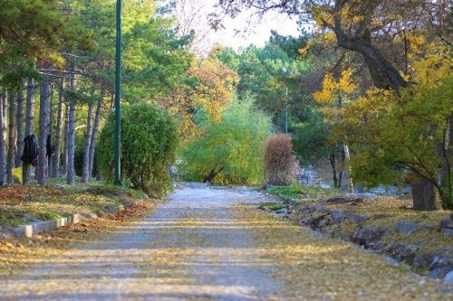 Eskişehir’de Sonbaharın Renkleri Büyüledi