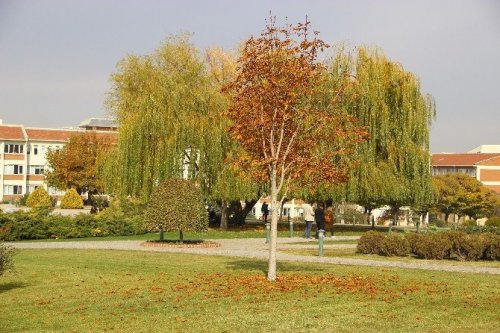 Eskişehir’de Sonbaharın Renkleri Büyüledi