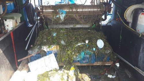 Gemlik Körfezi Deniz Süpürgeleriyle Temizleniyor