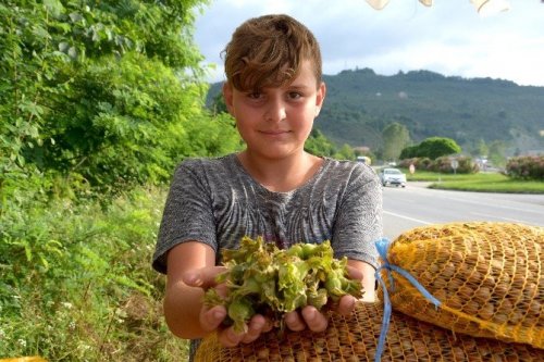 Giresun’da Fındık Toplama Tarihleri Belirlendi
