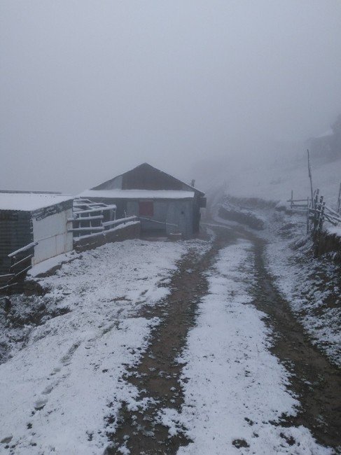 Giresun’un Yüksek Kesimlerine Mevsimin İlk Karı Düştü