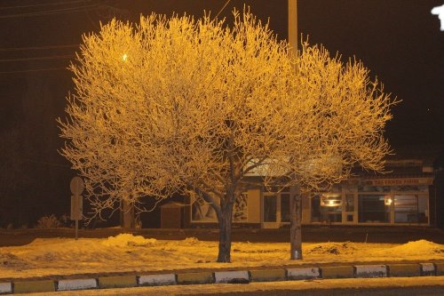 Göle’de Soğuk Hava ve Sis Etkili Oluyor