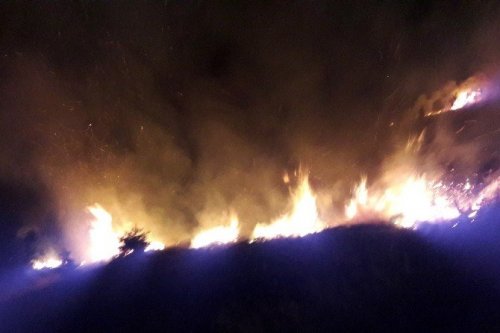 Gümüşhane’de İki Ayrı Orman ve Örtü Yangını