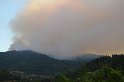 Gürcistan’da Orman Yangını