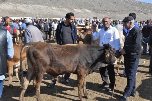 'Hayvan Pazarı'nda Durgunluk Yaşanıyor