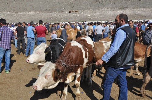 'Hayvan Pazarı'nda Durgunluk Yaşanıyor