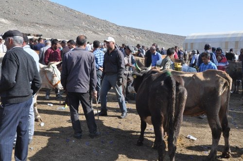 'Hayvan Pazarı'nda Durgunluk Yaşanıyor