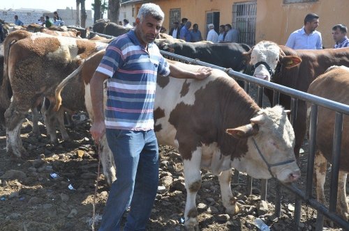 'Hayvan Pazarı'nda Durgunluk Yaşanıyor