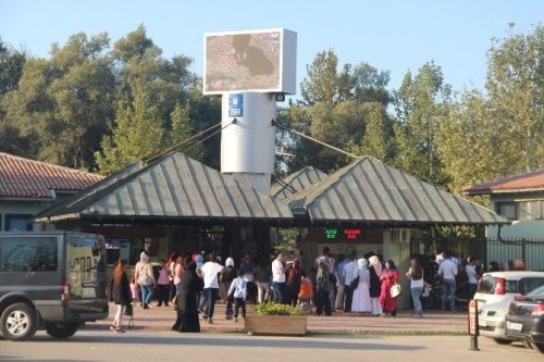 Hayvanat Bahçesine Ziyaretçi Akını