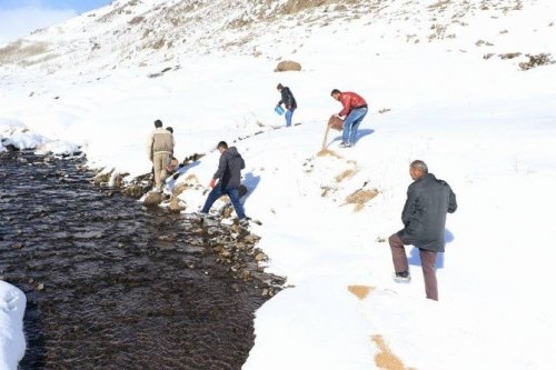 Hayvanlar İçin Yem Bırakıldı