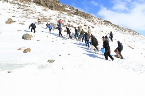 Hayvanlar İçin Yem Bırakıldı