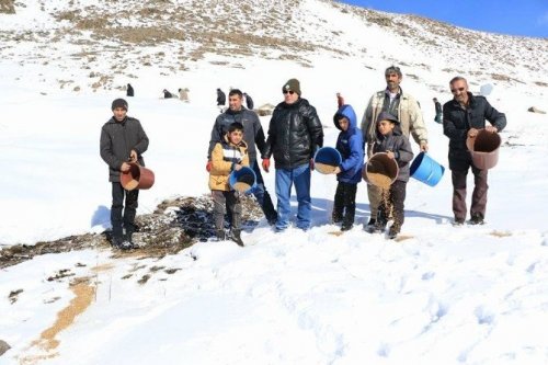 Hayvanlar İçin Yem Bırakıldı