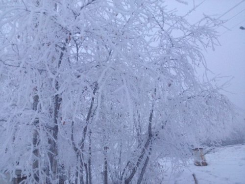 Iğdır-Erzurum Karayolunda Yoğun Sis