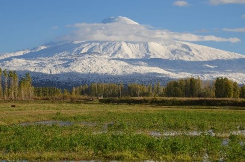 Iğdır’da Beyazla Yeşilin Buluşması