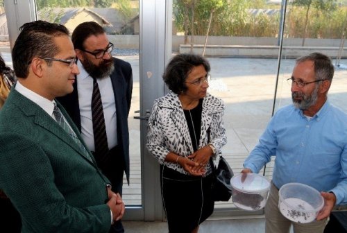 İzmir’de 5 Bin Yıllık Üzüm Çekirdekleri Bulundu