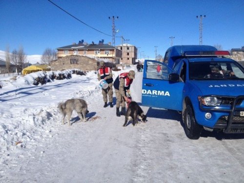 'Jandarma'dan Duyarlılık Örneği