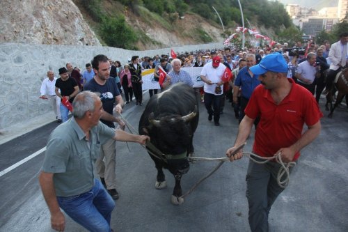 Kafkasör Festivali Boğalar Eşliğinde Yürüyüş İle Başladı