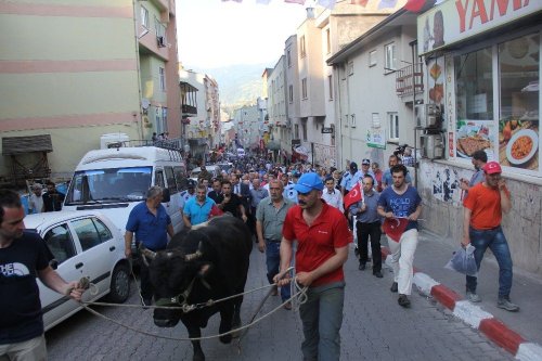 Kafkasör Festivali Boğalar Eşliğinde Yürüyüş İle Başladı