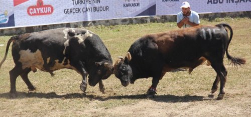 'Kafkasör’e Cerattepe Damgası