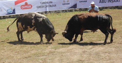 'Kafkasör’e Cerattepe Damgası