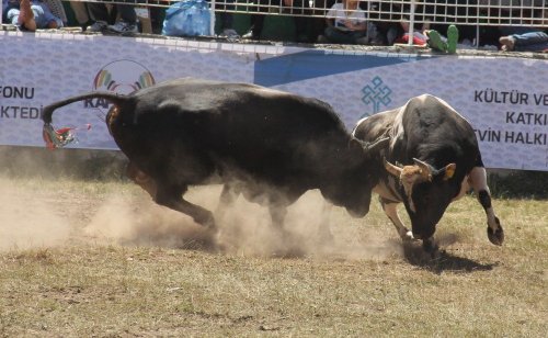 'Kafkasör’e Cerattepe Damgası