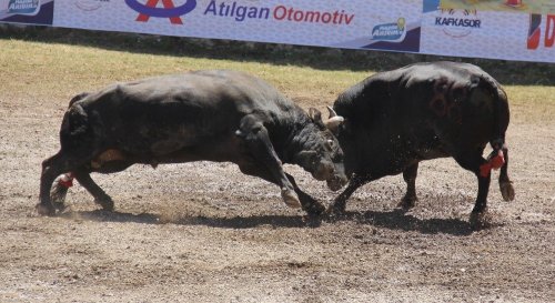 'Kafkasör’e Cerattepe Damgası