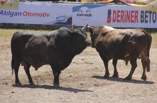 'Kafkasör’e Cerattepe Damgası