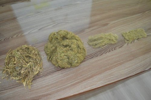 Karadeniz'de İkili Tarım Dönemi Başlıyor