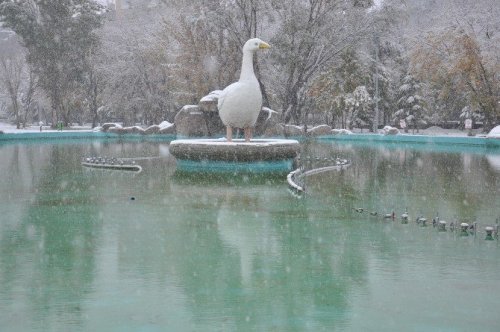 Kars Beyaz Gelinliğini Giydi