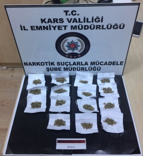 Kars’ta Bonzai Ele Geçirildi