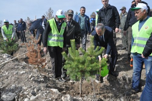 Kars'ta Cumhuriyet Polis Fidanları Etkinliği