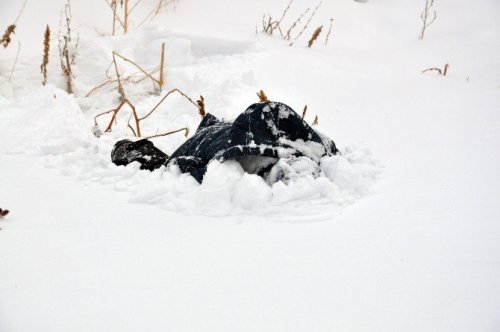 Kars’ta Kar Yağışı ve Tipi, Hayatı Olumsuz Etkiledi