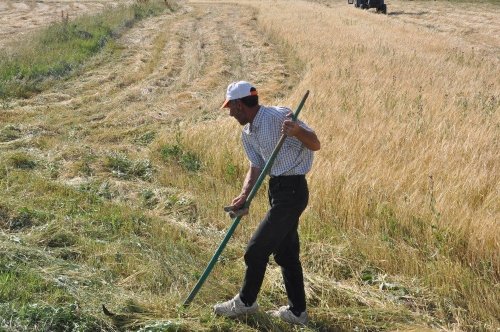 Kars’ta Köylüler, Güneş Altında Patos Vuruyor