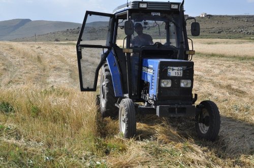 Kars’ta Köylüler, Güneş Altında Patos Vuruyor