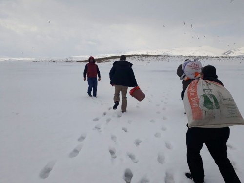 Kars’ta Kuşlara Yem Bırakıldı