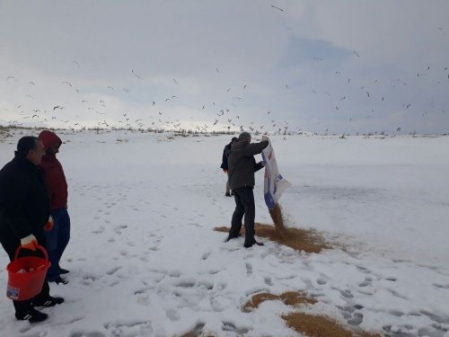Kars’ta Kuşlara Yem Bırakıldı