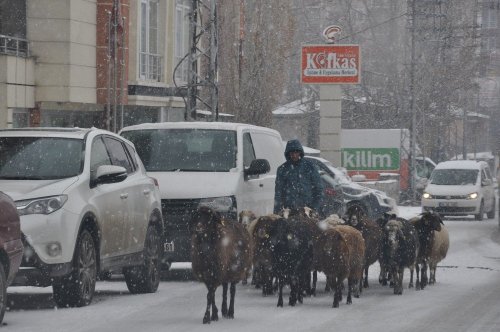 Kars’ta Lapa Lapa Kar Yağıyor