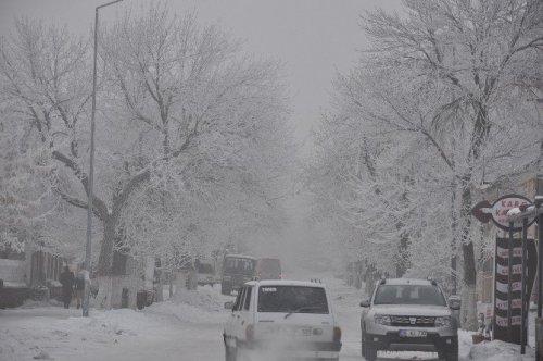 Kars’ta Sis, Soğuk Hava ve Kırağı