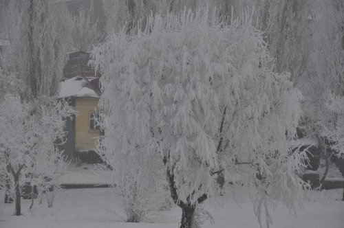 Kars’ta Sis, Soğuk Hava ve Kırağı