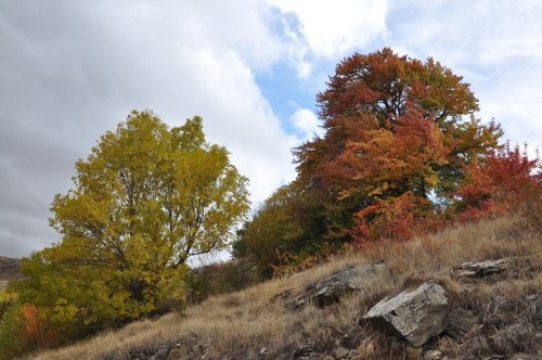 Kars’ta Sonbahar