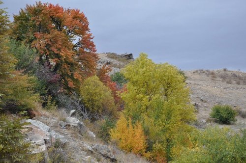 Kars’ta Sonbahar