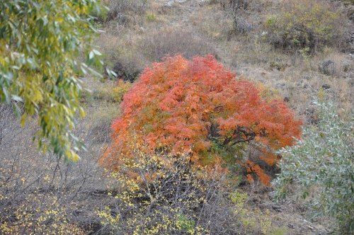 Kars’ta Sonbahar