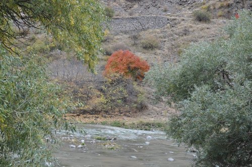 Kars’ta Sonbahar