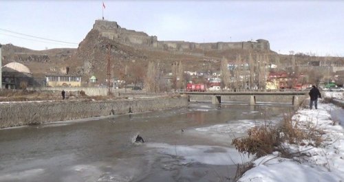 Kars'ta Yaralı Ördek Operasyonu